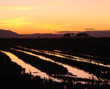 Semana Santa en Delta del Ebro