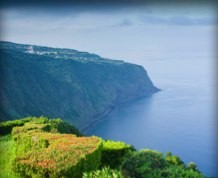 Azores: Ballenas y delfines del 7 al 14 de agosto