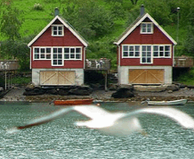 Fiordos de Noruega del 17 al 23 de agosto