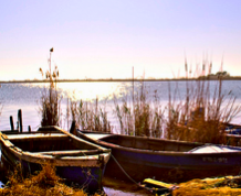 Delta del Ebro con niños 22 agosto