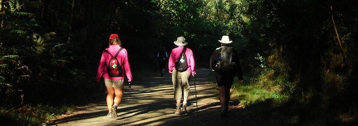 El camino de Santiago