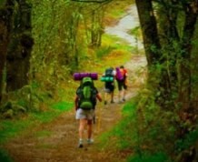 El camino de Santiago