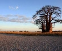 Senegal del 18 al 31 de agosto