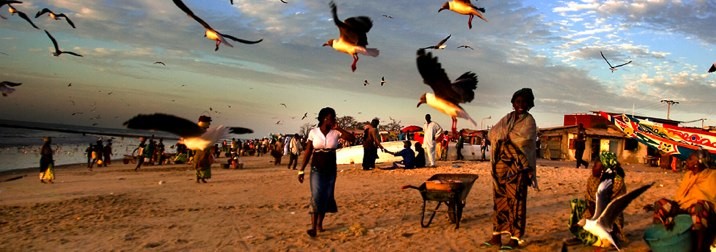 Norte del Senegal 6 días