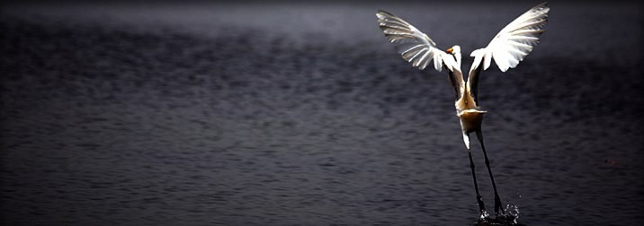 Senegal del 3 al 15 de Septiembre