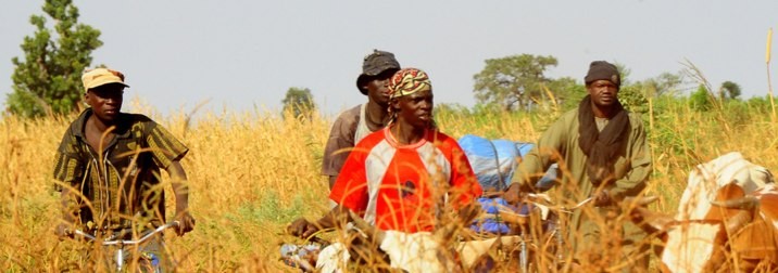 10 Días en Mali: Paisajes y Etnias de Africa
