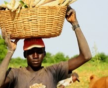 10 Días en Mali: Paisajes y Etnias de Africa