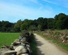 El Camino de Santiago