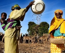 Senegal del 2 al 14 de Agosto