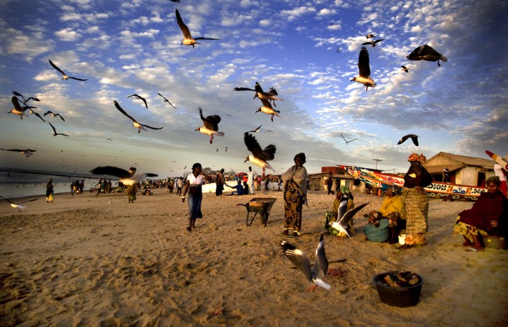 Senegal del 2 al 14 de Agosto