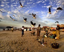 Senegal  en Noviembre