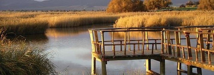 Molinos de Don Quijote y Tablas de Daimiel