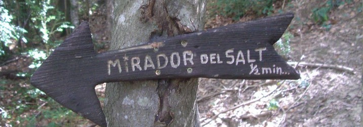 ¿Vamos hacer cabañas al bosque?