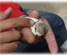 Cultura y Naturaleza con niños en la Costa Gaditana