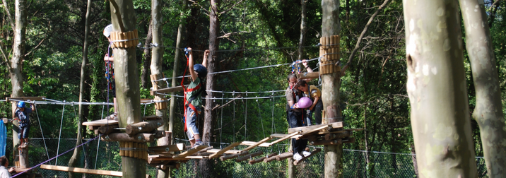 Curso de supervivencia para niños