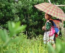 Semana Santa en Vietnam