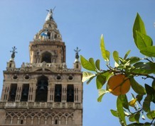 Semana Santa en Sevilla, Niños Gratis