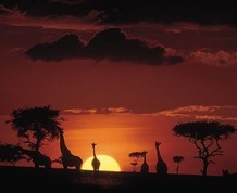 Agosto en Kenya