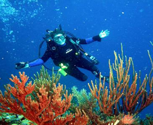 Buceo en el Mar Rojo.