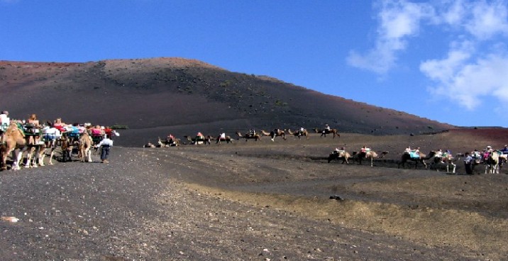 Lanzarote Single 