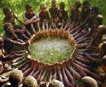 Camerún. Experiencia unica en Africa: Selvas y volcanes