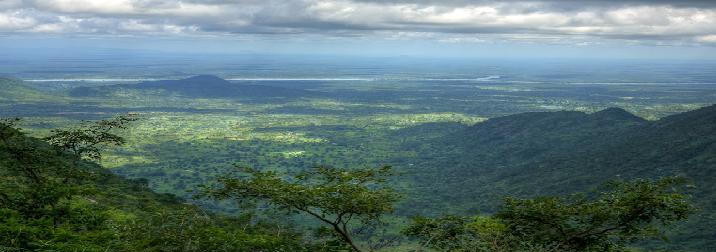 Camerún. Experiencia unica en Africa: Selvas y volcanes