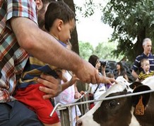 “Gymkhana, cultura y diversión” en la Garrotxa