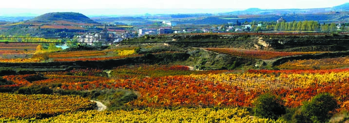 Semana Santa en La Rioja: ¡Diversión, cultura y vinitos!