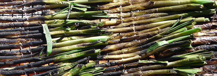 Conocer y disfrutar del Priorat