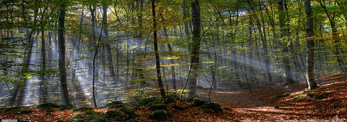 Senderismo en la Garrotxa