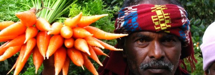 Agosto en India: Rajastan, realidad día a día, última plaza