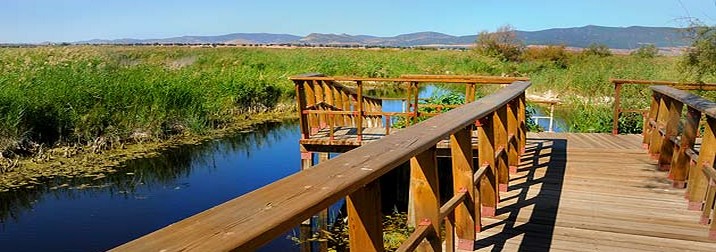 Lagunas de Ruidera y Tablas de Daimiel