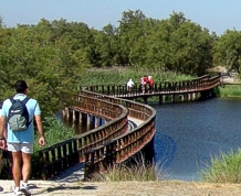 Lagunas de Ruidera y Tablas de Daimiel