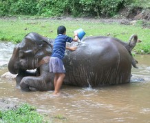 Tailandia en Familia. ¡Últimas 4 plazas!