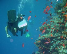 Crucero de Buceo por el Mar Rojo