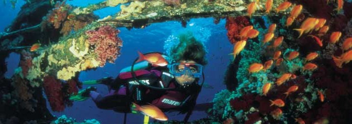 Crucero de Buceo por el Mar Rojo