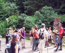 Senderismo en Selva Negra y Alsacia