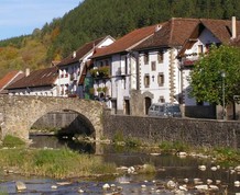 Selva de Irati: Bosques mágicos de Navarra