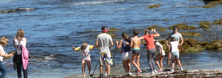 Paseando por el Norte con niños. Galicia nos espera