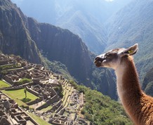 Viaje Single ¡Perú! Milenario, actual y fascinante