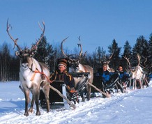 Fin de Año en Laponia. Naturaleza y aventura