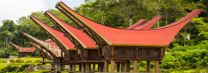 Indonesia, Transulawesi y Esencia Toraja