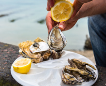 Fin de semana gastronómico en Delta del Ebro