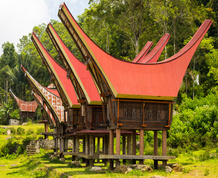 Indonesia, Transulawesi y Esencia Toraja