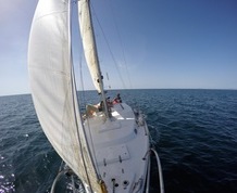 Costa de Cadiz en Velero. Varias fechas Agosto