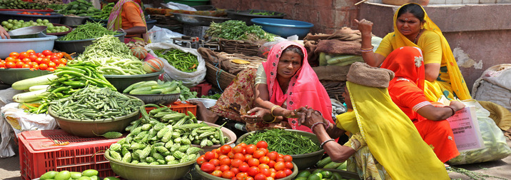 India, Mandalas y Colores del Sur