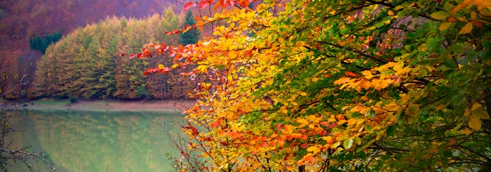 Los colores del Otoño en Irati. Salida desde Barcelona.