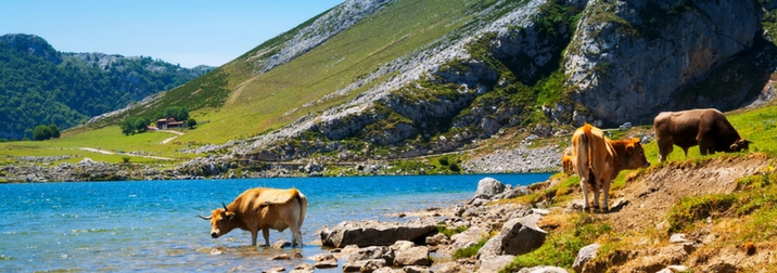 Asturias: Ruta del Cares