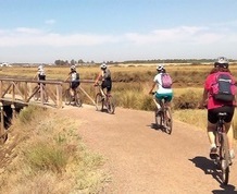 Puente de Mayo: Naturaleza y aventura en Andalucia