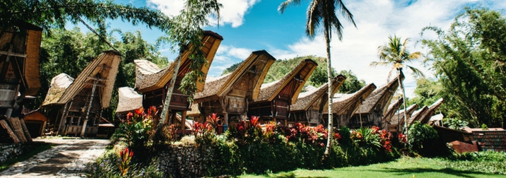 Aventura en Transulawesi. Indonesia